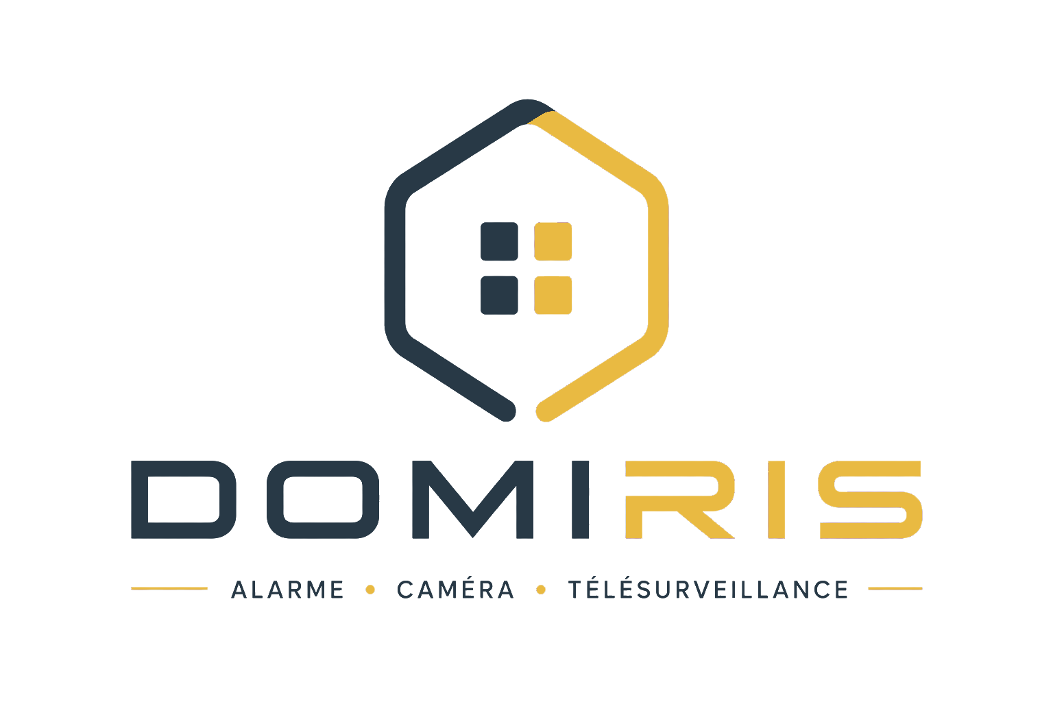 Domiris Alarme